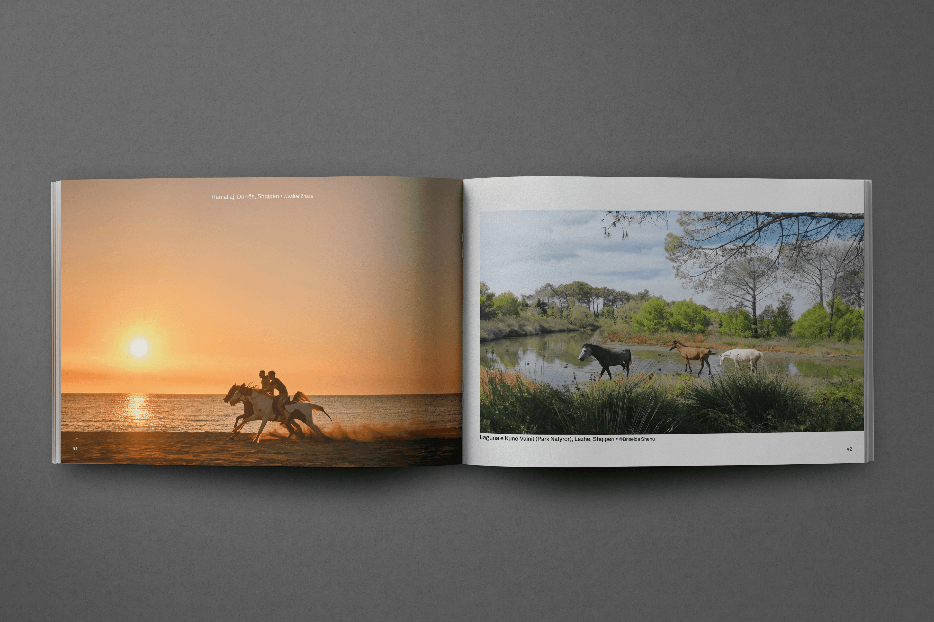 Hajde n'Shqipni Digital Album gallery image 8