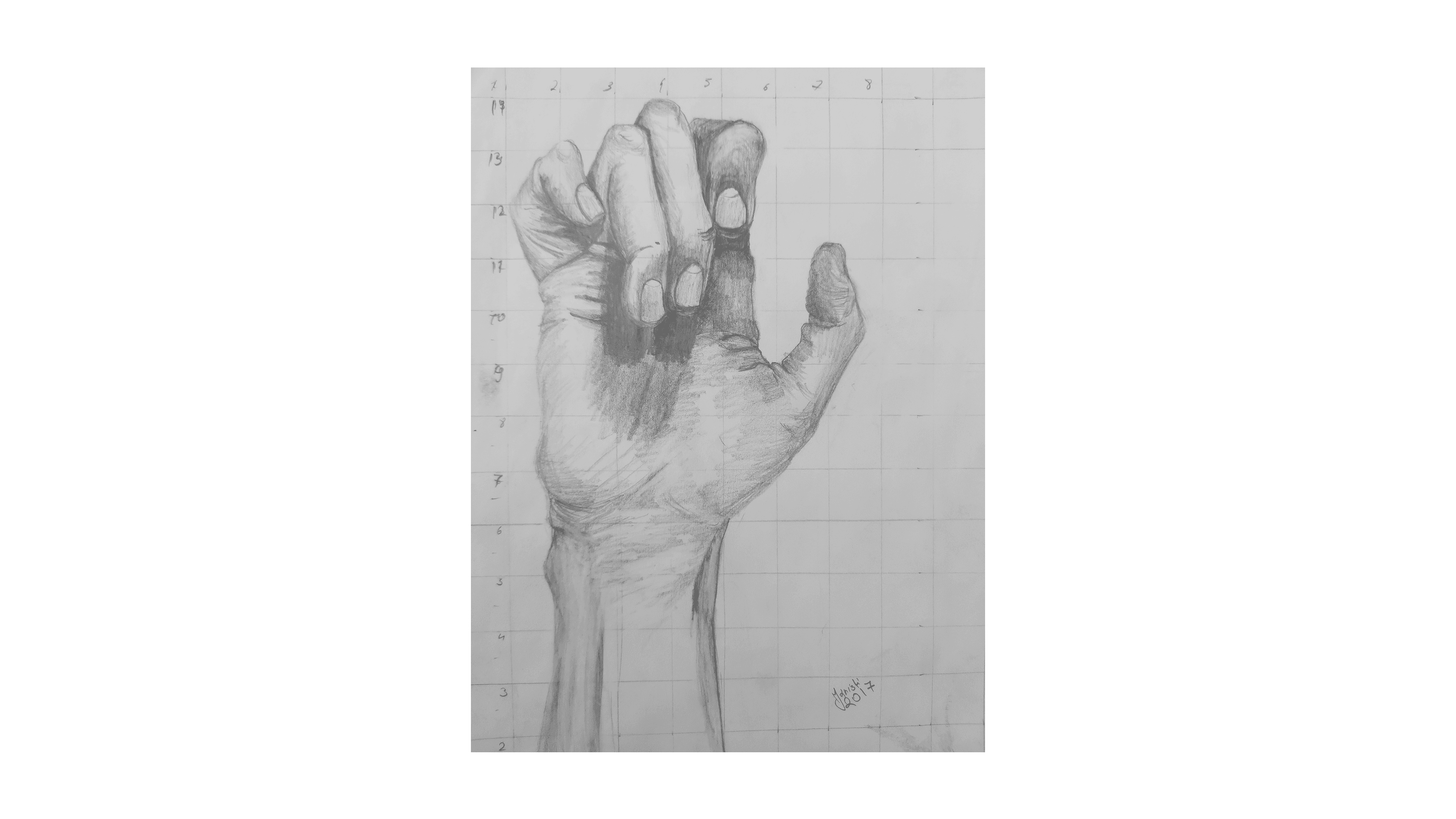 Anatomy study of a human hand: understanding form to draw with accuracy.