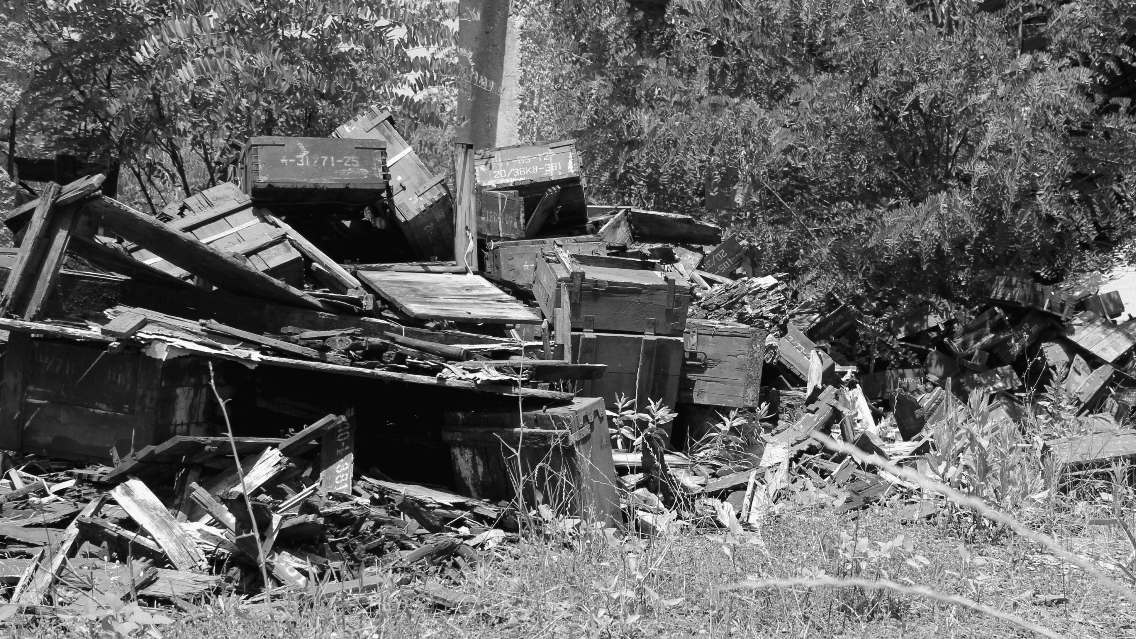 From military wood scraps to art: the raw materials that became our canvas.