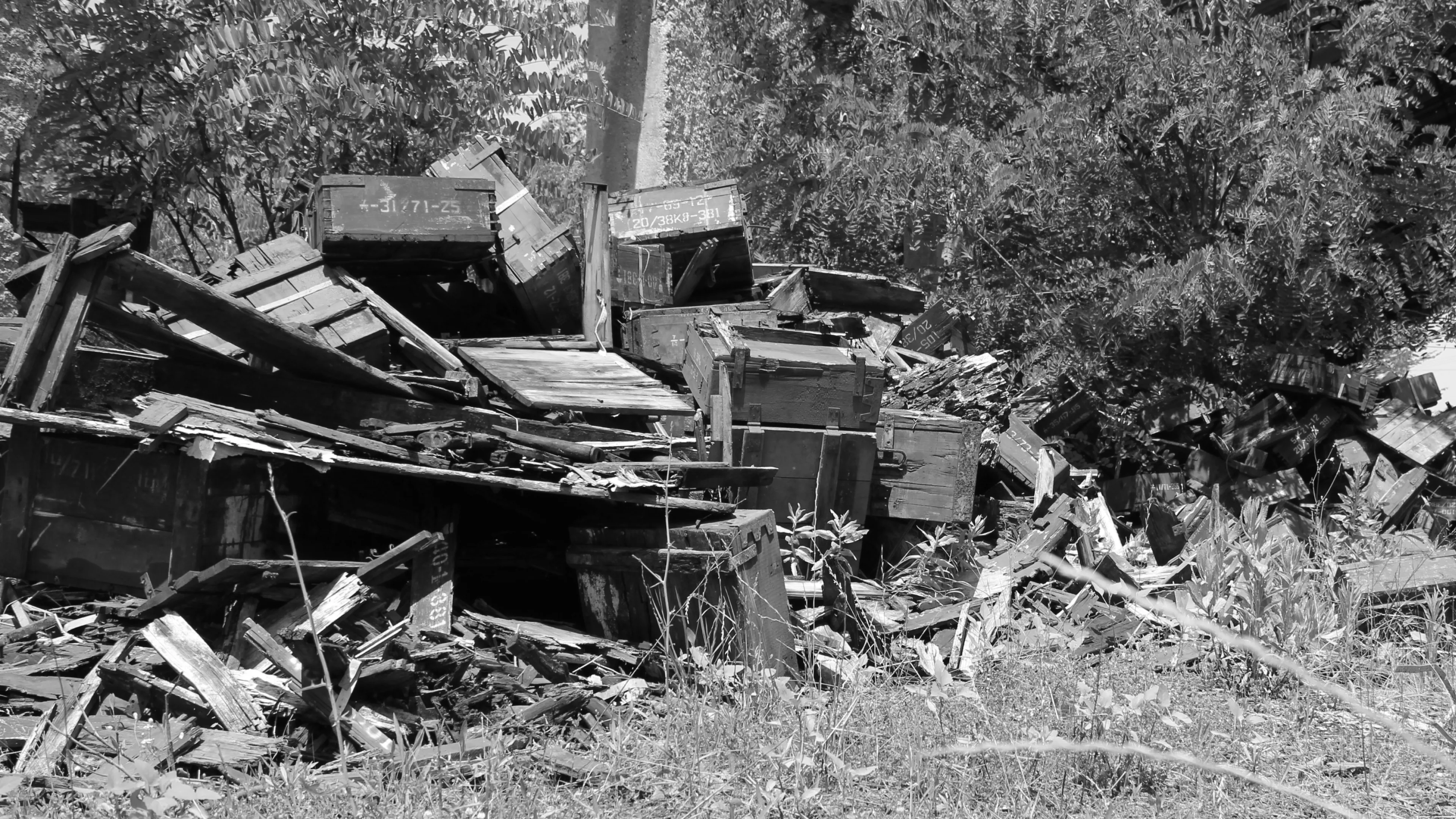 From military wood scraps to art: the raw materials that became our canvas.